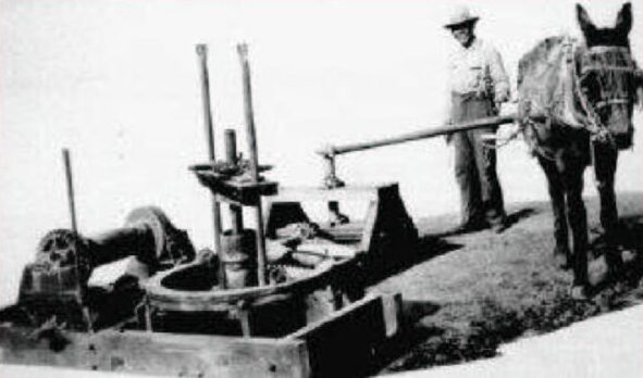 Texas-Auger-AOGHS A man and his mule drilling with an auger.