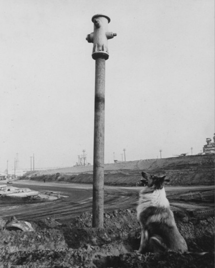 THUMS Long Beach CA sinking image